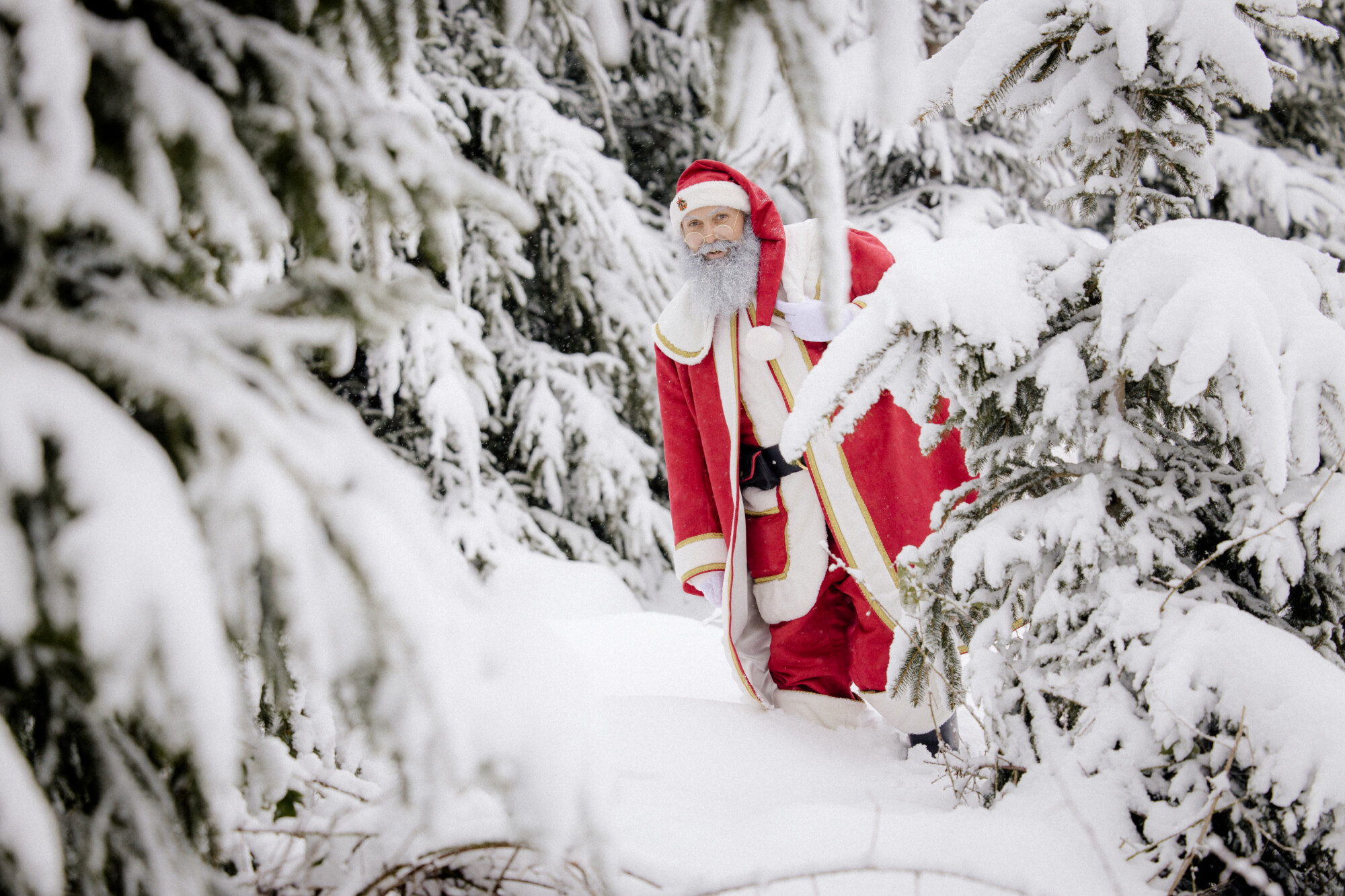 Adventsmarkt auf dem Herbsthof