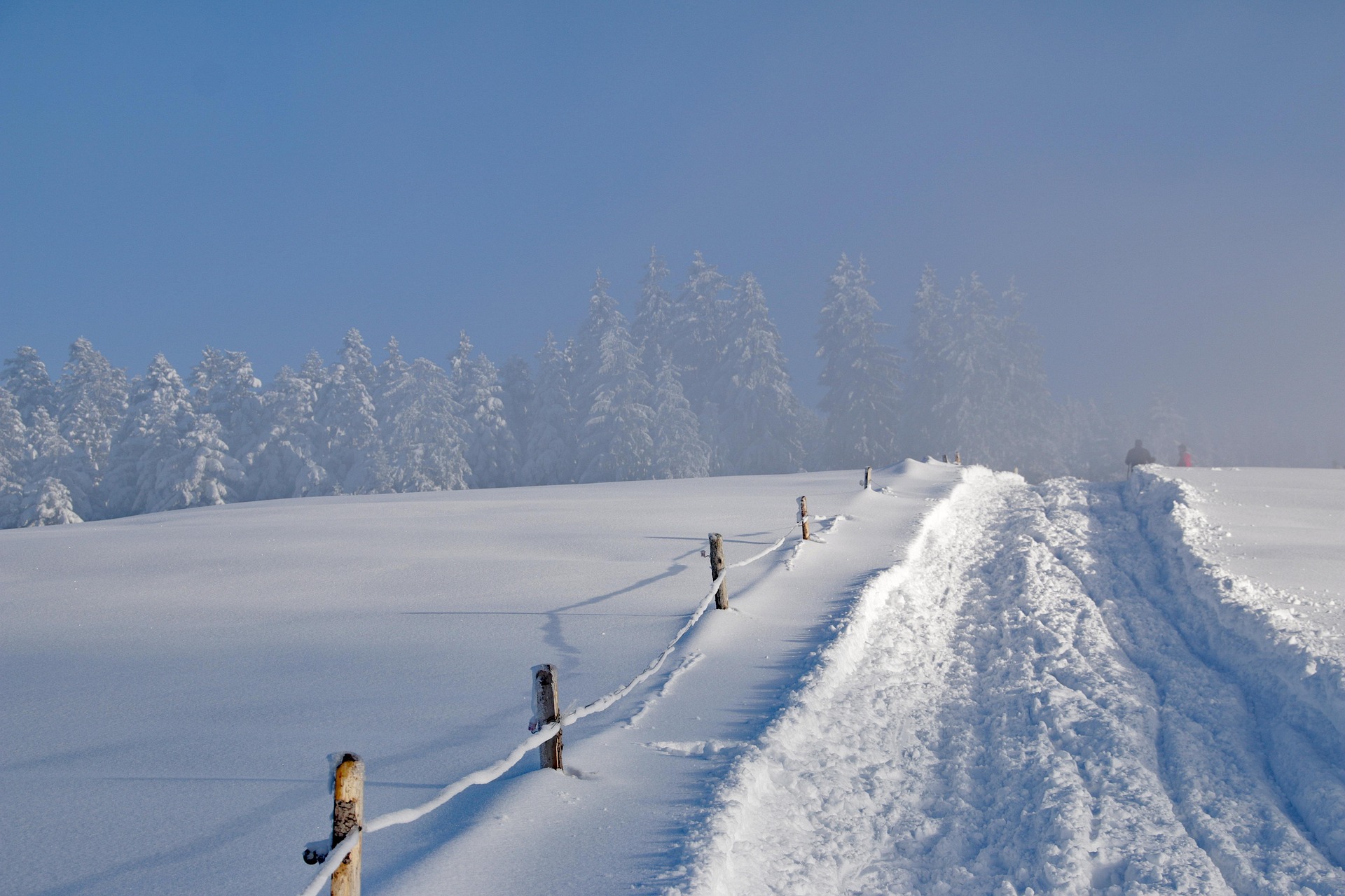Feldweg im Schnee